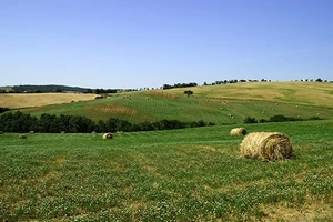 Foncier : des...
