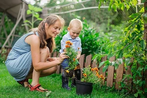 Jardinage Top 5 des...