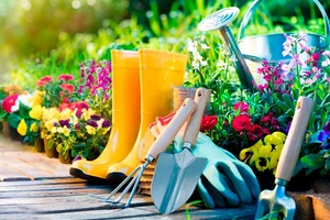 La rentrée au jardin