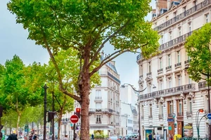 Vivre ou investir...