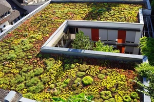 Un jardin sur le...