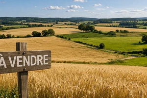 Vendre un terrain...