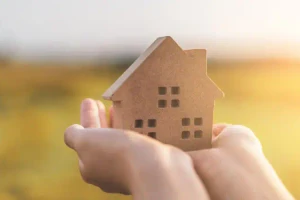 L'immobilier...
