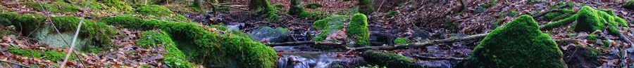 L'immobilier des notaires : Ardennes