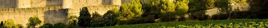 L'immobilier des notaires : Aude