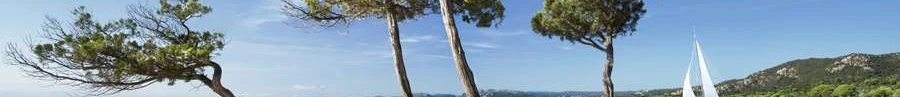 L'immobilier des notaires : Corse-du-Sud