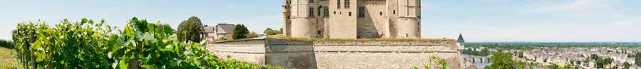 L'immobilier des notaires : Maine-et-Loire