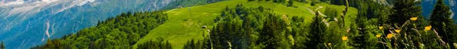 L'immobilier des notaires : Savoie