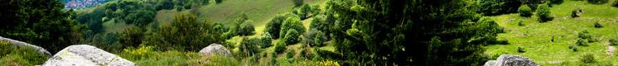 L'immobilier des notaires : Vosges